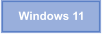 Windows 11