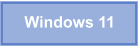 Windows 11